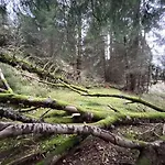 Kleine Freiheit *