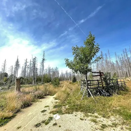 Apartment Kleine Freiheit *