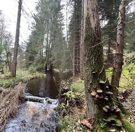 Kleine Freiheit Daire