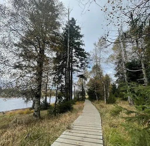 Daire Kleine Freiheit