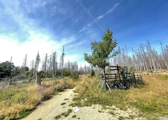 Daire Kleine Freiheit *